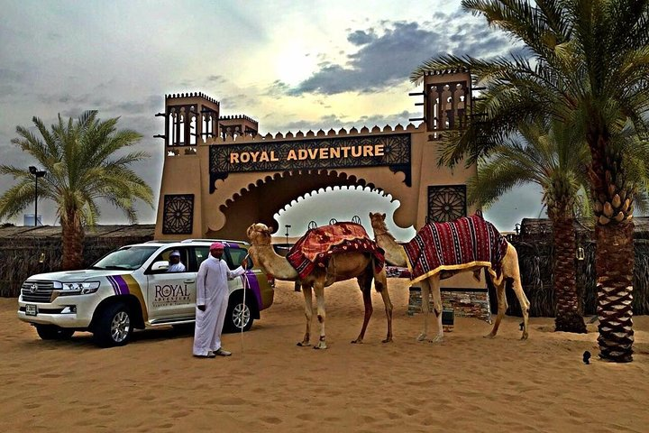 Experience the magic of the Arab Desert with adventurous 4x4 rides camel trekking and delightful BBQ under the stars all while enjoying live entertainment and traditional hospitality.